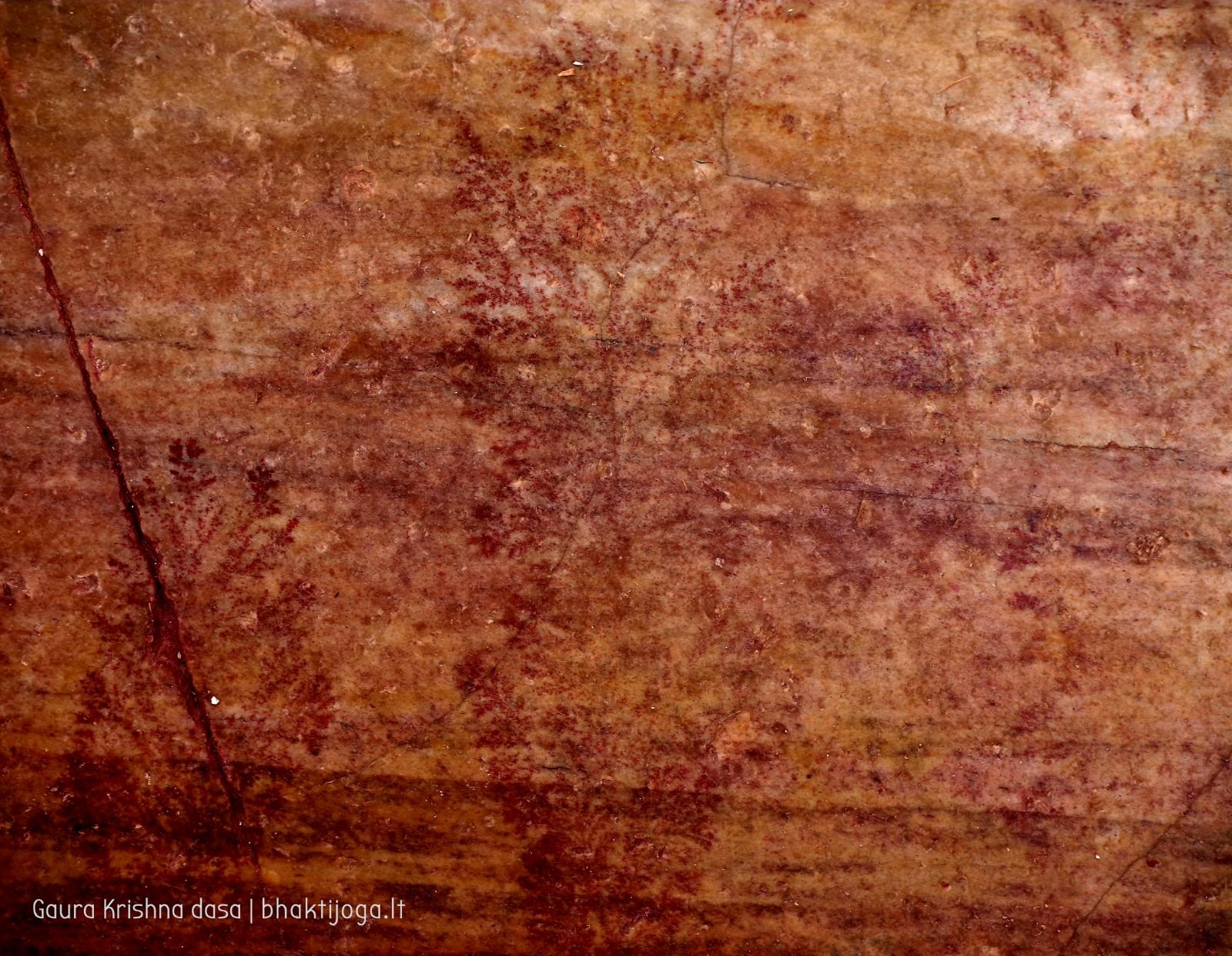  Varshana parikrama and preaching. 2019.12.10